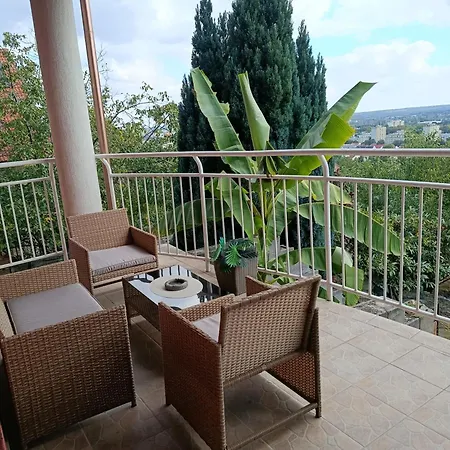 Panorama 公寓 佩奇